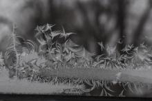 frost looks like hillside with trees